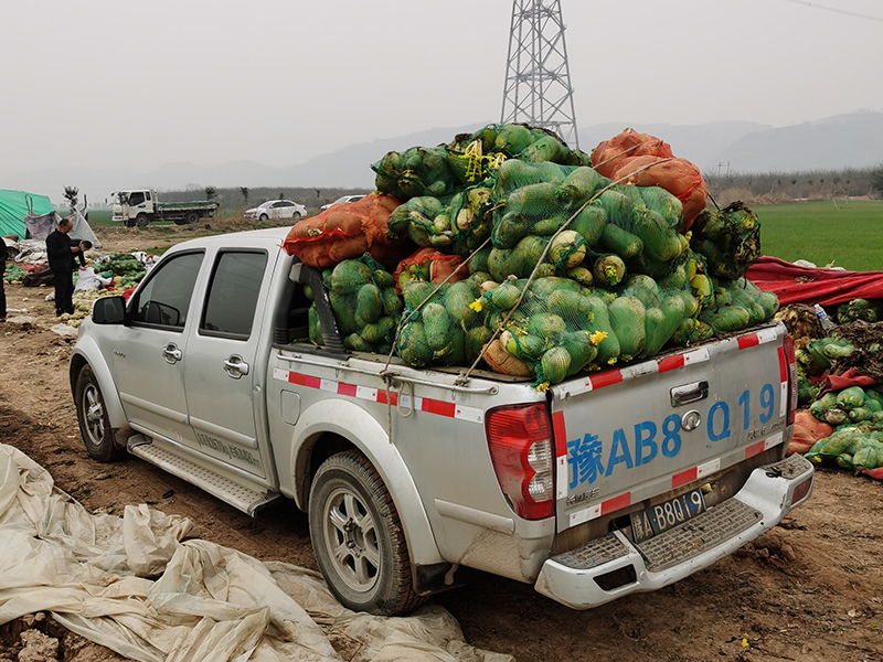新冠疫情期間，幫扶蘿卜滯銷戶